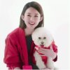 琴语的头像