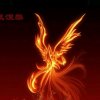 火凤凰的头像