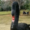 阳光的头像