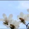 昀的头像
