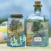 闵行大渣的头像
