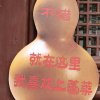 天之涯的头像