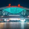 和平的头像