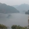 淡定《暂退》的头像