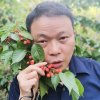 开心红兵歌手的头像