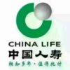 牵挂的头像