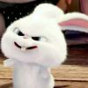   좡 어 잉的头像