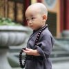 山鹰的头像