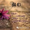 仰望星空的头像