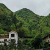 NNHK岁月无痕小号的头像
