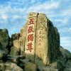 我是一只鱼的头像