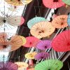 天虹松子的头像
