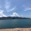 深海里的游鱼的头像
