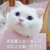 萱锦w@妄生的头像