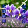 超越梦想的头像