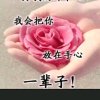 幸福苹果的头像
