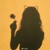小仙女的头像