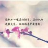 善缘的头像