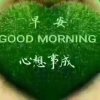 微微一笑的头像