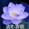 追梦的头像