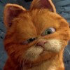 爱溜达的加菲猫的头像