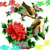 情缘的头像
