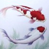 锦绣随缘的头像