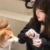 i的头像