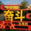何年何月的头像