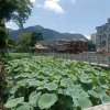 过客的头像