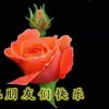 寒号鸟 快乐每一天    的头像