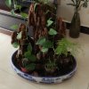 平安快乐的头像