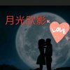 /yl月光欣影的头像