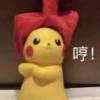 不吃香菜的小葱、的头像