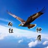 红星向往神鹰的头像