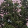 温馨的头像