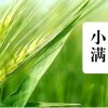 尘龍K的头像