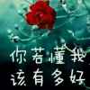 读你的头像