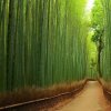 华创泉之源的头像