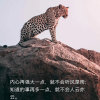 zhang！的头像