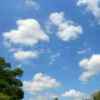 蓝天白云的头像