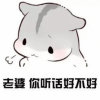 哥*想要的 老到白头的头像