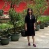 Liz……退的头像