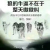 空的头像