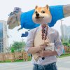 轻挽汝手的头像