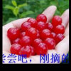 温柔的头像