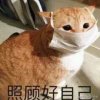 隔离了的头像