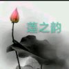 莲之韵的头像