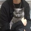 MC丶疯小白的头像