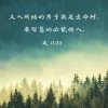 琴的头像